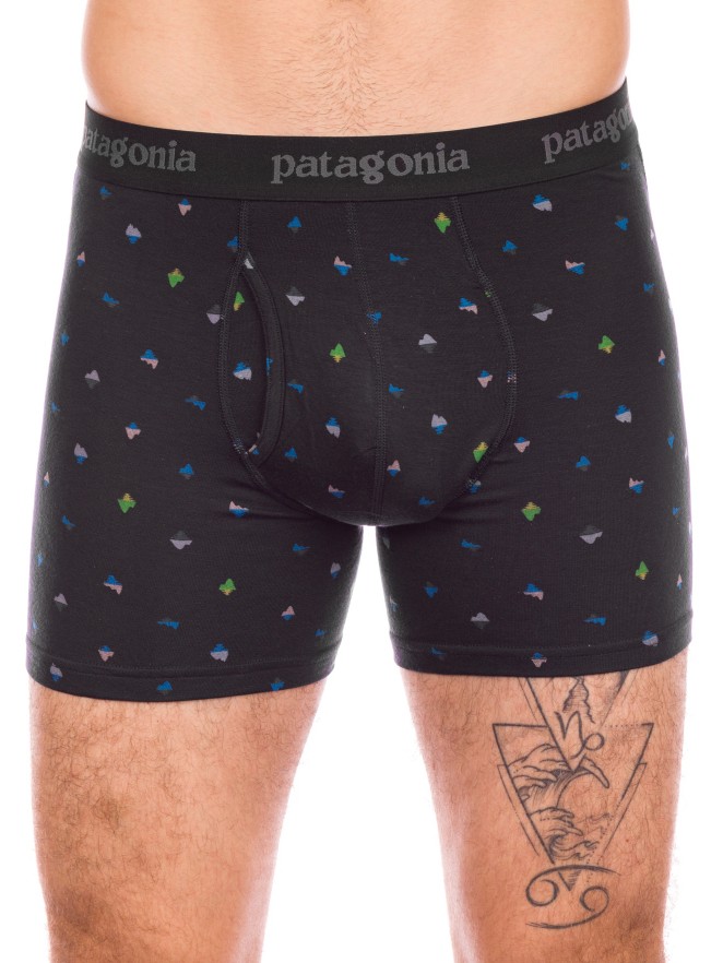 Patagonia Essential Boxer Briefs - 3 In Boxershorts