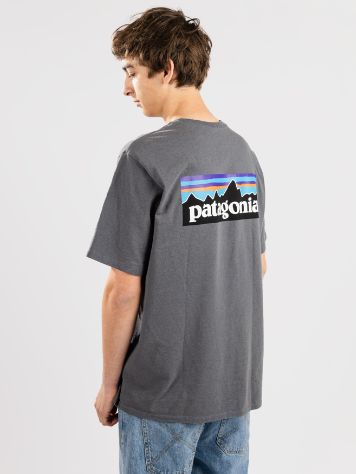 Patagonia P-6 Logo Responsibili Majica