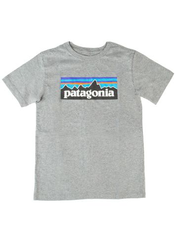 Patagonia Regen Organic Certification Ctn P-6 Logo T-Shirt