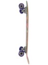 Globe Big Blazer 32″ Cruiser Completo