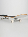 Plan B Team Texture 7.87″ Skateboard