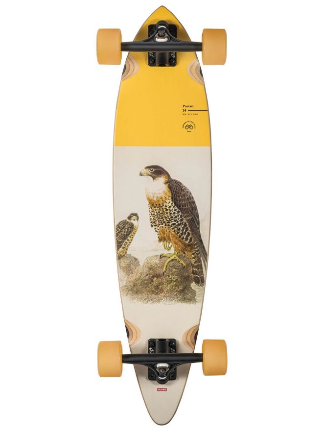 Globe Pintail 34″ Longboard complet