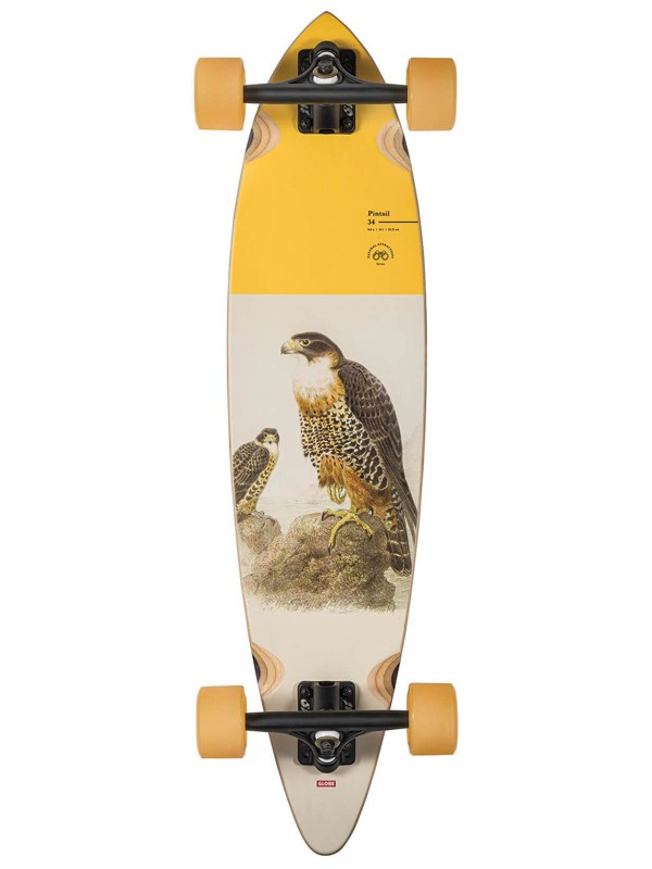 Globe Pintail 34" Complete falcon