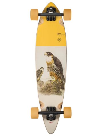 Globe Pintail 34&quot; Skate Completo