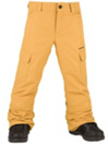 Volcom Cargo Insulated Pants