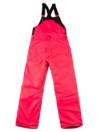 Volcom Barkley Bib Byxor