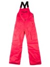 Volcom Barkley Bib Byxor