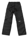 O'Neill Anvil Pants