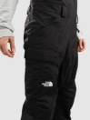 THE NORTH FACE Freedom Bib Pants