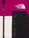 THE NORTH FACE Dragline Giacca