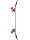 Almost Fall Off FP 8.25″ Skateboard Completo