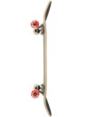 Almost Fall Off FP 8.25″ Skateboard