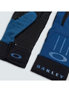 Oakley Ellipse Foundation Hanskat