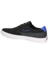 Nike SB Shane Skateschuhe