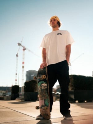 SB Shane Chaussures de Skate