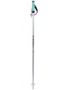 Völkl Phantastick 100 2023 Ski Poles