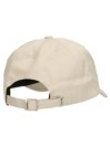 Volcom Stone Wonder Dad Cap
