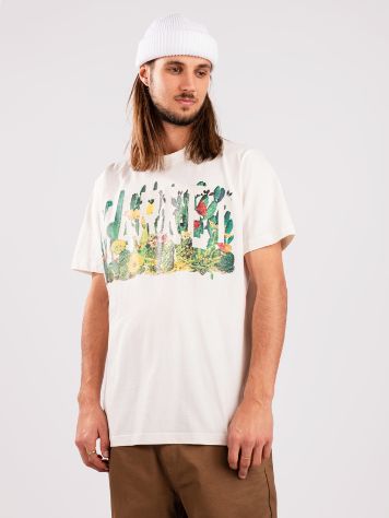 Market Cactus Arc T-shirt