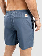 Clean Swell Boardshorts