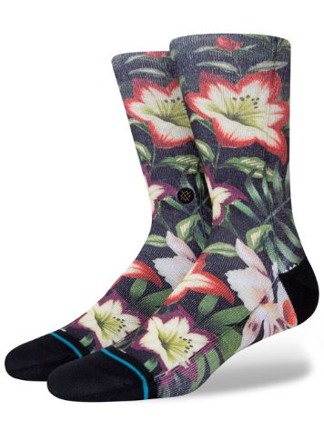 Stance Variegate Calcetines