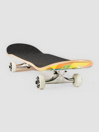 DGK Snapper 7.75″ Complete