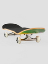 DGK Saturation 8.25″ Skateboard Completo