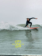 Greyhound 5&amp;#039;8 Prancha de Surf