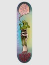 Toy Machine Carpenter Turtle In Hand 8.0″ Skateboard Deck
