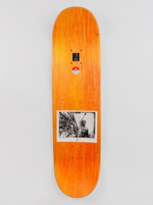 Paul Grund Man With Window 8.375&amp;#034; Skateboard Deck