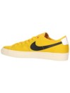 Nike SB Blazer Court DVDL Scarpe da Skate