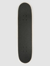 Blue Tomato Open Waters 7.5″ Skateboard Completo
