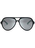 Elsinore Matte Black Sunglasses