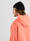 adidas Skateboarding H Shmoo Hettegenser