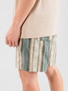 Quiksilver Taxer Jacquard Pantaloncini