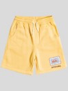 Quiksilver Stir Roots Up Shorts