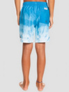 Quiksilver Everyday Faded Logo VL Boardshorts