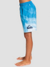 Quiksilver Everyday Faded Logo VL Boardshorts
