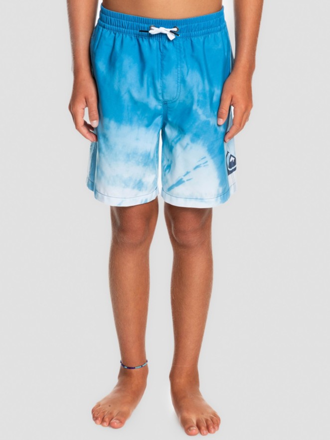 Quiksilver Everyday Faded Logo VL Boardshorts