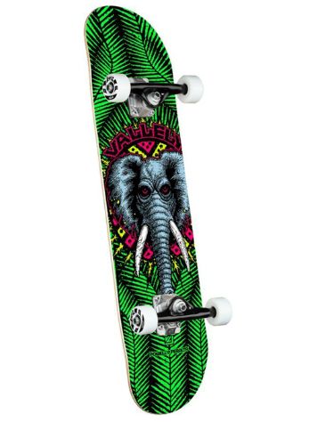 Powell Peralta Vallely Elephant Birch 8.0&quot; Skateboard