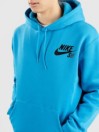 Nike SB Icon Essential Sudadera con Capucha
