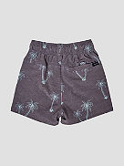 Party Pack Volley 10&amp;#034; Boardshort