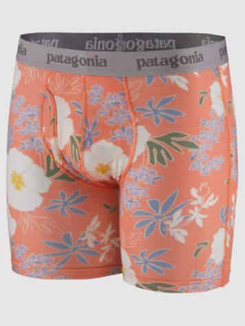 Patagonia Essential Briefs - 3 In Calzoncillos