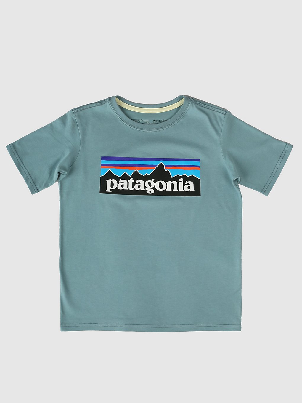 Patagonia Regenerative Organic Certified Cotton P- T-Shirt upwell blue kaufen