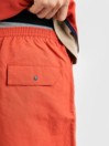 Patagonia Baggies - 5 In. Shorts