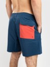 Patagonia Hydropeak Volley - 16 In. Boardshorts