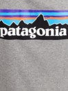 Patagonia P-6 Logo Responsibili T-shirt