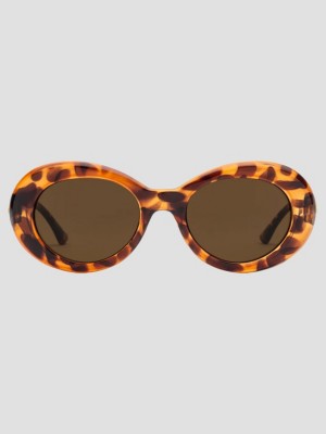 Stoned Gloss Tort Sunglasses