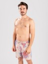 Globe Dreamin' Wild Boardshorts