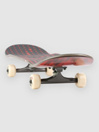 Globe G2 Dot Gain 8.125″ Complete