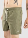 O'Neill Vert 16 Boardshorts